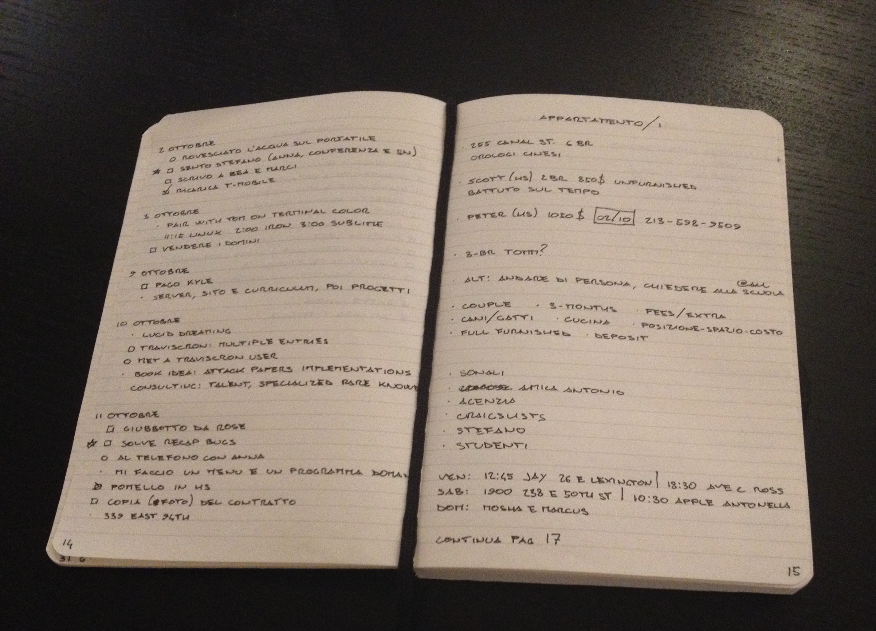 A daily notes page and some random notes